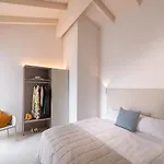 Pareus Caorle