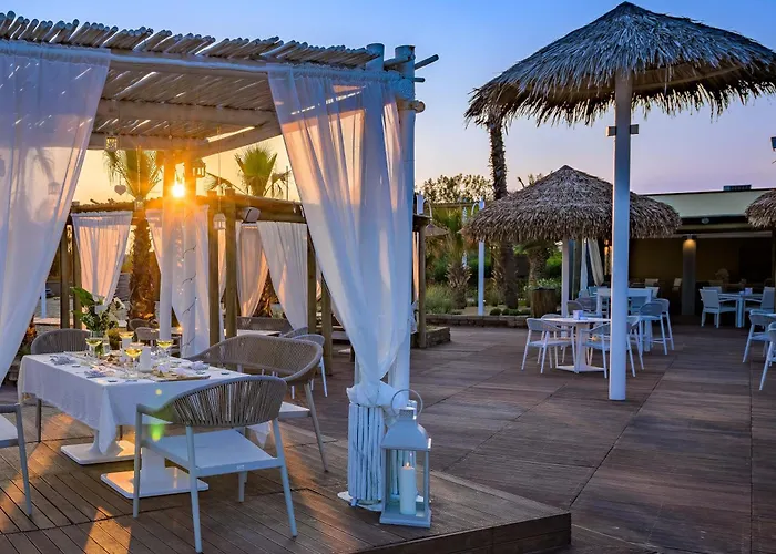 Pareus 4* 카오를레